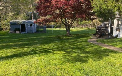 Photo of Yasin M.'s yard after getting lawn care in Newark, DE