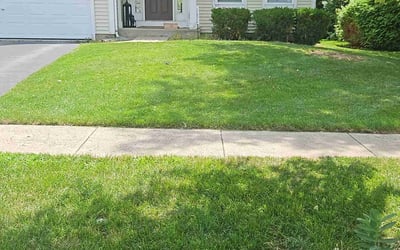 Photo of Ivan F.'s yard after getting lawn care in Colonial Heights, VA