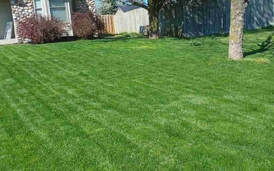 Photo of Dru S.'s yard after getting lawn care in Oak Creek, WI