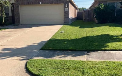Photo of Alexis C.'s yard after getting lawn care in Riverhead, NY