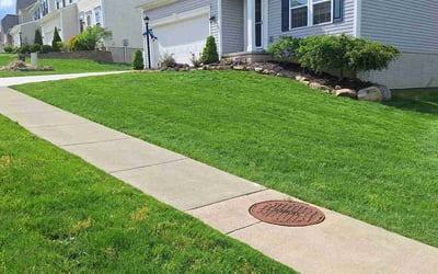 Photo of Spencer D.'s yard after getting lawn care in Clayton, NC