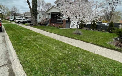 Photo of Bradly B.'s yard after getting lawn care in Hazel Park, MI