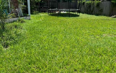 Photo of Colin M.'s yard after getting lawn care in Corpus Christi, TX