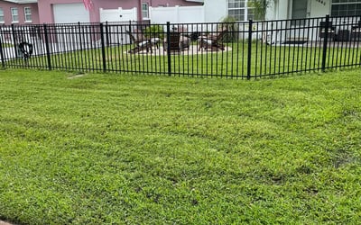 Photo of Michelle C.'s yard after getting lawn care in Pinellas Park, FL