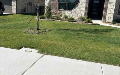 Photo of Ryan D.'s yard after getting lawn care in Balch Springs, TX