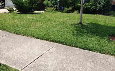 Photo of Johnny F.'s yard after getting lawn care in Brentwood, TN