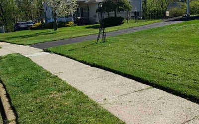 Photo of Amanda H.'s yard after getting lawn care in Hatboro, PA