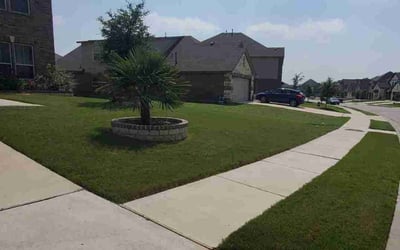 Photo of Andrew D.'s yard after getting lawn care in Smithville, TX