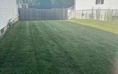 Photo of Brandon J.'s yard after getting lawn care in Charlotte, NC
