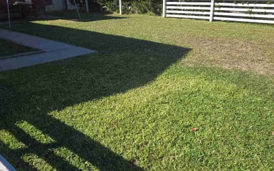 Photo of Lashaunda S.'s yard after getting lawn care in Del Mar, CA