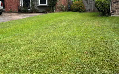 Photo of Jimmy W.'s yard after getting lawn care in Abilene, TX
