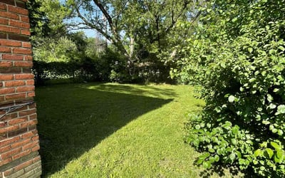 Photo of Margot A.'s yard after getting lawn care in Traverse City, MI