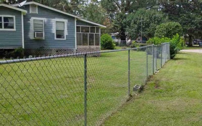 Photo of Tina P.'s yard after getting lawn care in Merritt Island, FL