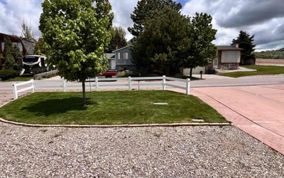 Photo of Carol D.'s yard after getting lawn care in Idaho Falls, ID