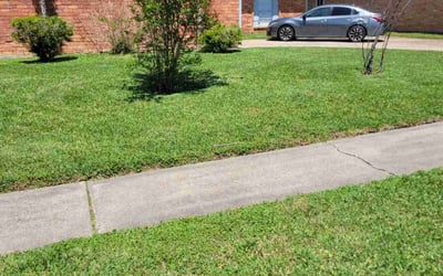 Photo of Alan B.'s yard after getting lawn care in La Porte, TX