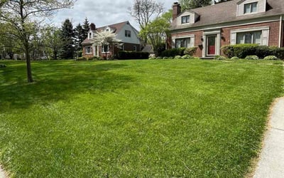 Photo of Melanie R.'s yard after getting lawn care in Swanton, OH