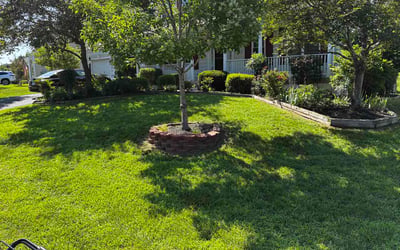 Photo of Thomas H.'s yard after getting lawn care in Collinsville, OK