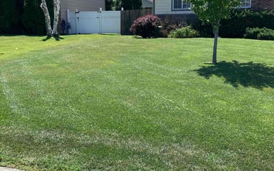 Photo of Beth K.'s yard after getting lawn care in Newton, KS