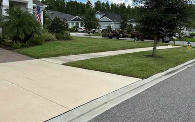 Photo of Tonda P.'s yard after getting lawn care in Odessa, FL