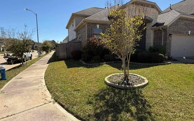 Photo of caleb a.'s yard after getting lawn care in Katy, TX