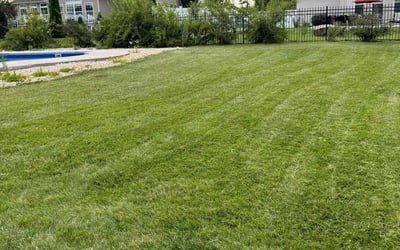 Photo of Aaron B.'s yard after getting lawn care in Easton, PA
