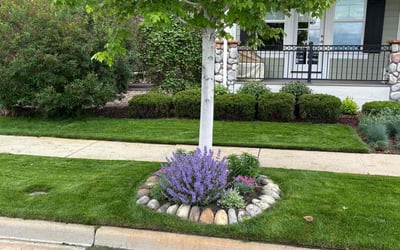 Photo of Makinsey C.'s yard after getting lawn care in Hephzibah, GA