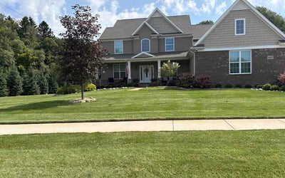 Photo of Rose W.'s yard after getting lawn care in Huntsville, AL