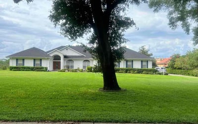 Photo of Lawrence V.'s yard after getting lawn care in Eustis, FL