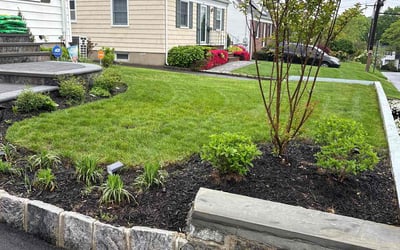 Photo of James P.'s yard after getting lawn care in Shawnee, KS