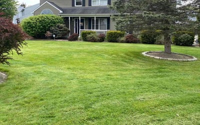 Photo of Melissa H.'s yard after getting lawn care in Liverpool, NY