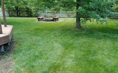 Photo of Amir E.'s yard after getting lawn care in Cedar Park, TX