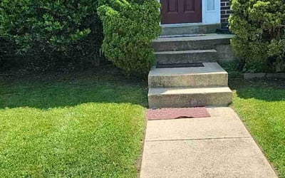 Photo of Myles T.'s yard after getting lawn care in Chicago, IL