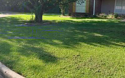 Photo of Ramzi A.'s yard after getting lawn care in Brandon, MS