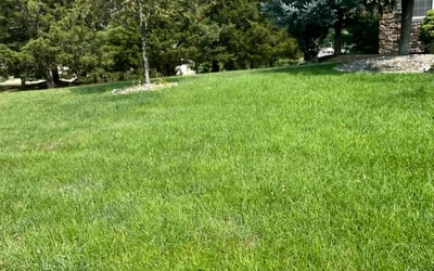 Photo of Jana F.'s yard after getting lawn care in Nazareth, PA