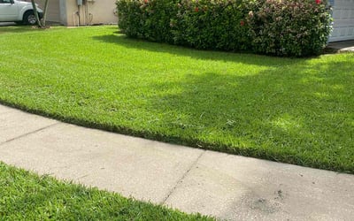 Photo of Karen H.'s yard after getting lawn care in Rego Park, NY