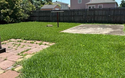 Photo of Wanda S.'s yard after getting lawn care in Alexandria, LA
