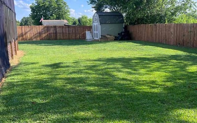 Photo of Elvis I.'s yard after getting lawn care in Raeford, NC