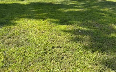 Photo of Eli W.'s yard after getting lawn care in Sicklerville, NJ