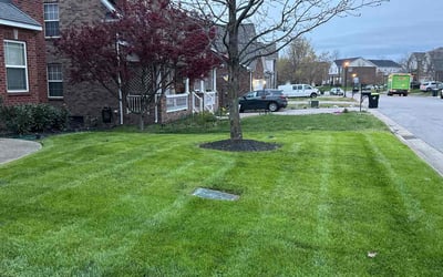 Photo of Penelope B.'s yard after getting lawn care in Ashland City, TN