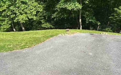 Photo of Isaac S.'s yard after getting lawn care in Washington, IL