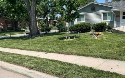 Photo of Kobey L.'s yard after getting lawn care in Plattsmouth, NE