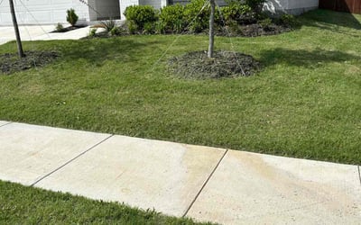 Photo of Mary C.'s yard after getting lawn care in Alvarado, TX