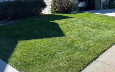 Photo of Christian D.'s yard after getting lawn care in Mound, MN