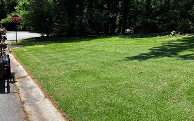 Photo of Mirjana S.'s yard after getting lawn care in Bryant, AR