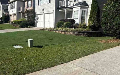 Photo of Liza C.'s yard after getting lawn care in Pensacola, FL