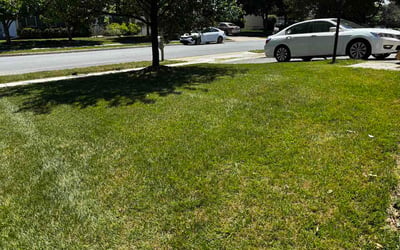 Photo of Anya R.'s yard after getting lawn care in Fairfax Station, VA