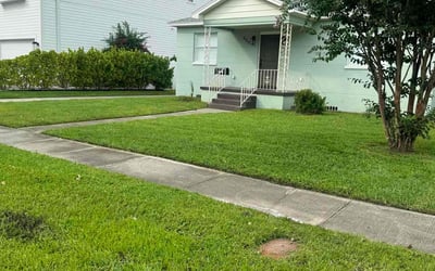 Photo of Kia H.'s yard after getting lawn care in Madison, AL