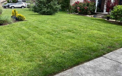 Photo of Lee T.'s yard after getting lawn care in Farragut, TN