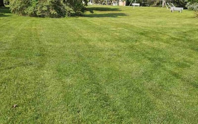 Photo of Phantay-Zha D.'s yard after getting lawn care in Willingboro, NJ