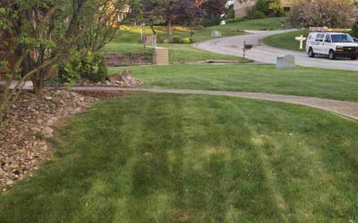 Photo of Fernando L.'s yard after getting lawn care in Jarrell, TX